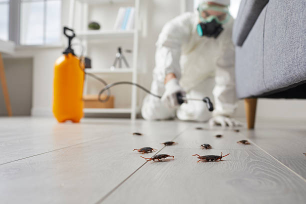 Commercial Kitchen Cockroach Control in Boston